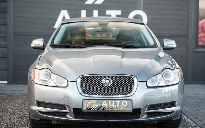 Jaguar XF cena 47900 przebieg: 222000, rok produkcji 2008 z Suchedniów małe 191